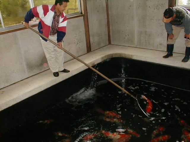 Water Feature Construction