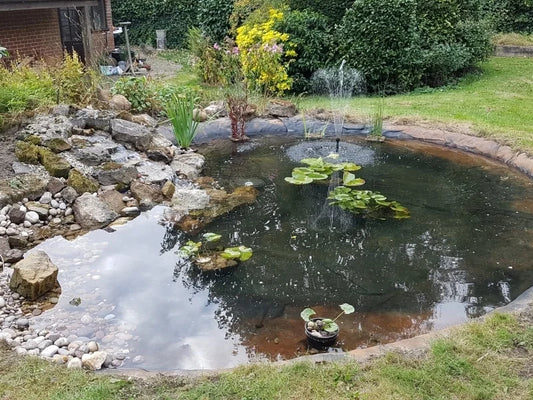 Full Pond Design