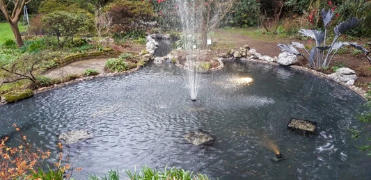 Full Pond Design
