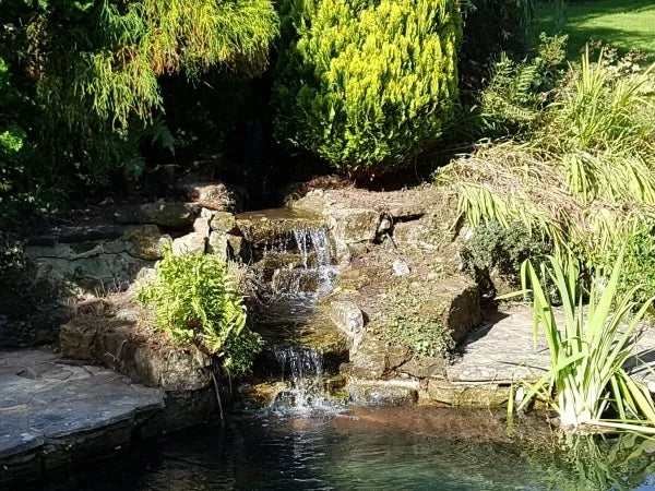 Pond Size & Shape Alteration Service